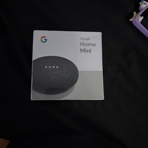 Google Home Mini Box with Green and White Design